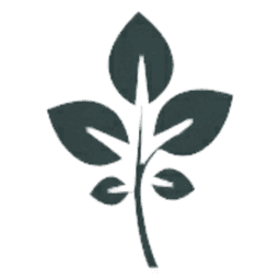 GrapeVine Social